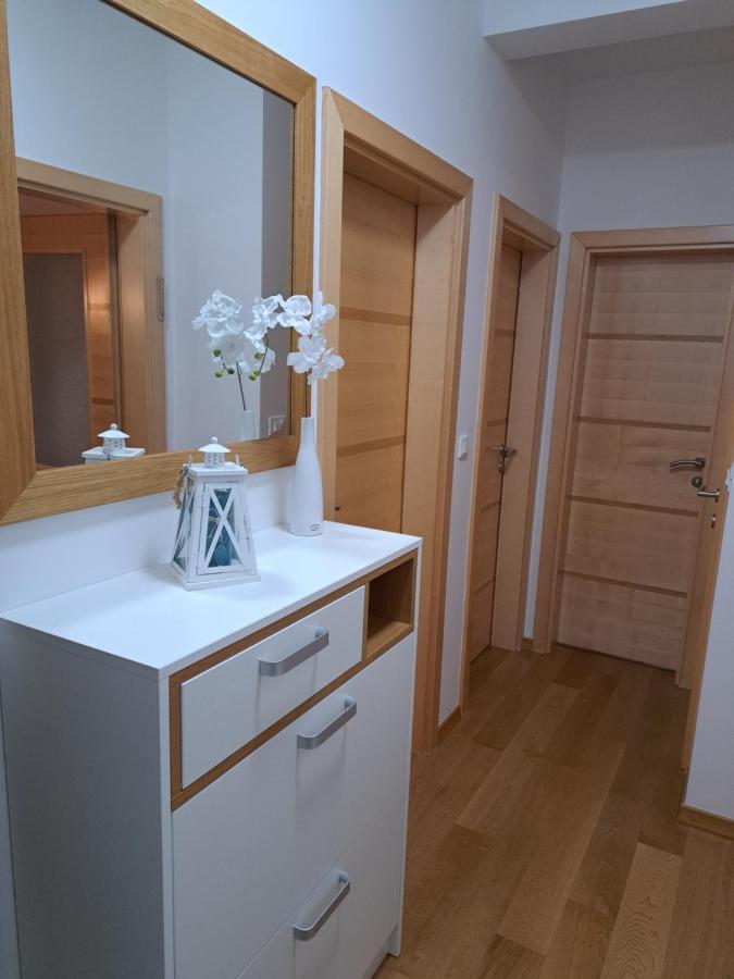 Apartman Blue ツリクヴェニツァ エクステリア 写真