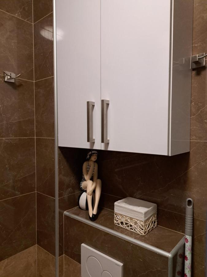 Apartman Blue ツリクヴェニツァ エクステリア 写真